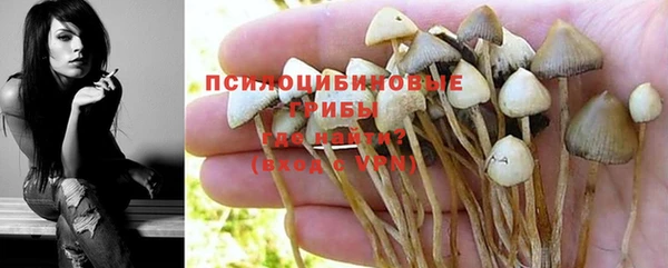 Альфа ПВП Дмитровск