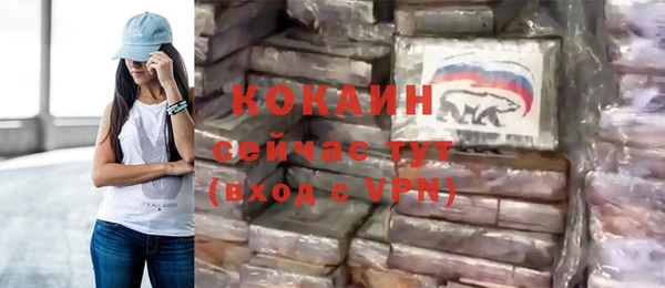 стаф Дмитриев