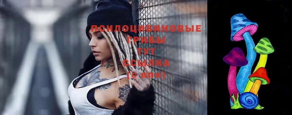 стаф Дмитриев