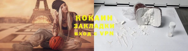 стаф Дмитриев