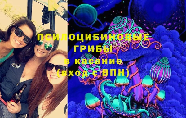 спайс Дмитров