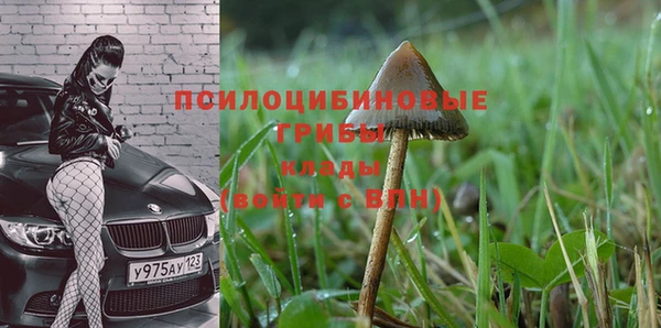 стаф Дмитриев