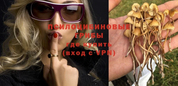 Альфа ПВП Дмитровск