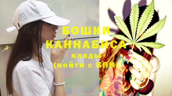 стаф Дмитриев