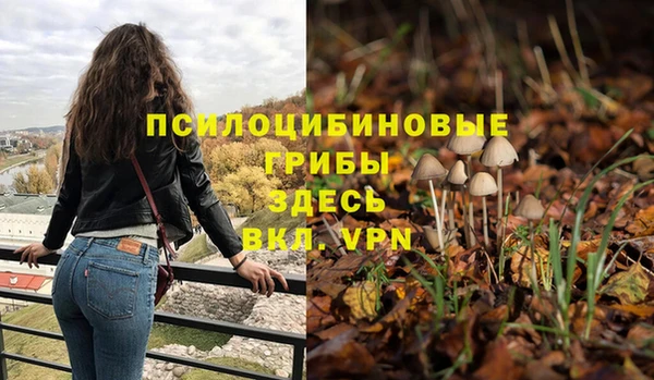стаф Дмитриев
